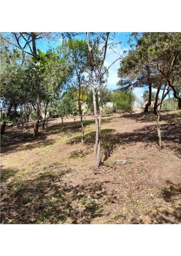 Casa Kia - 2 Camere Da Letto - Pet Friendly Valledoria  Bagian luar foto